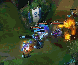 大坂直美 大坂直美