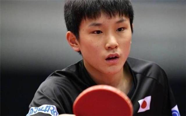 广厦的反击 广厦的反击